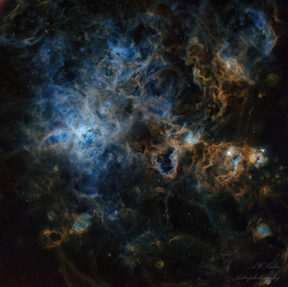 Tarantula Nebula in SHO