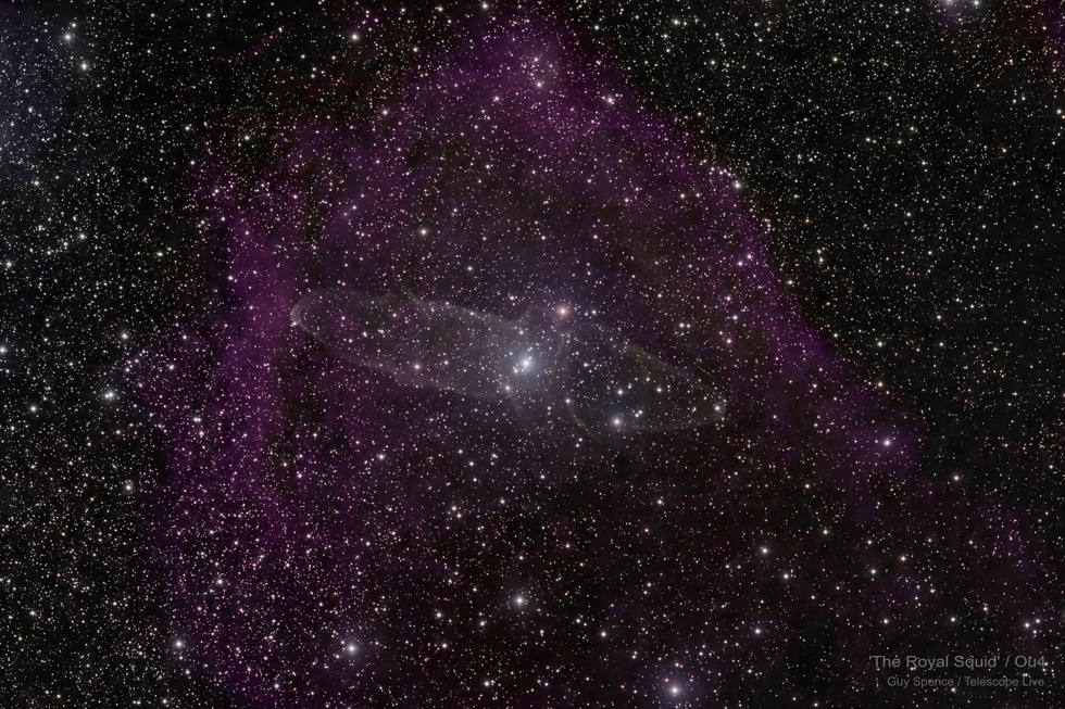 Ou4 - The 'Royal' Squid Nebula