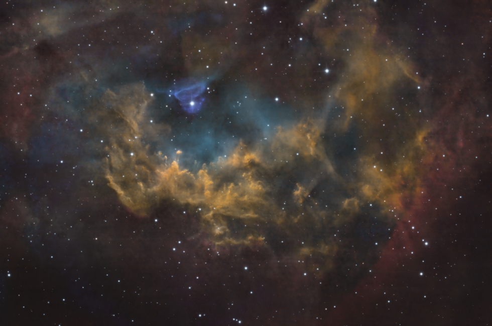 Sh2-261