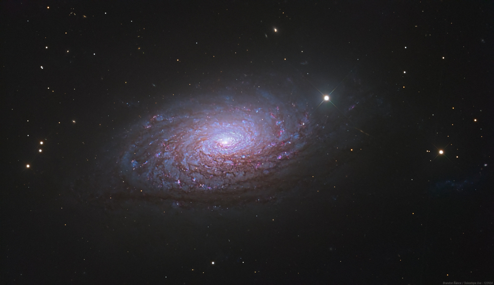 SUNFLOWER GALAXY