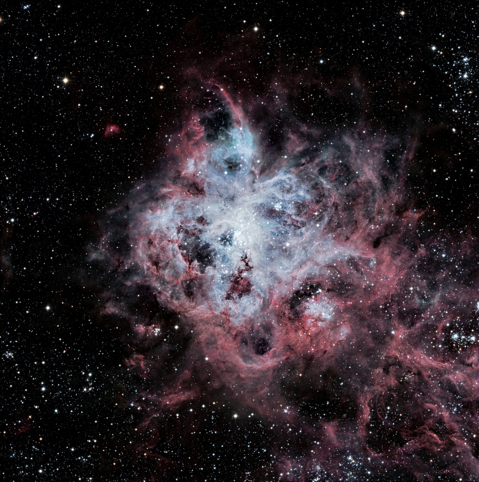 The Tarantula Nebula - 30 Daradus 