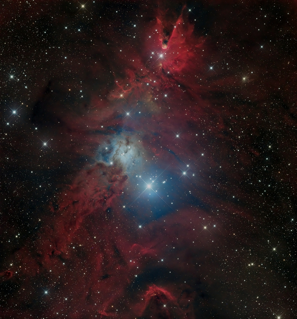 NGC2264