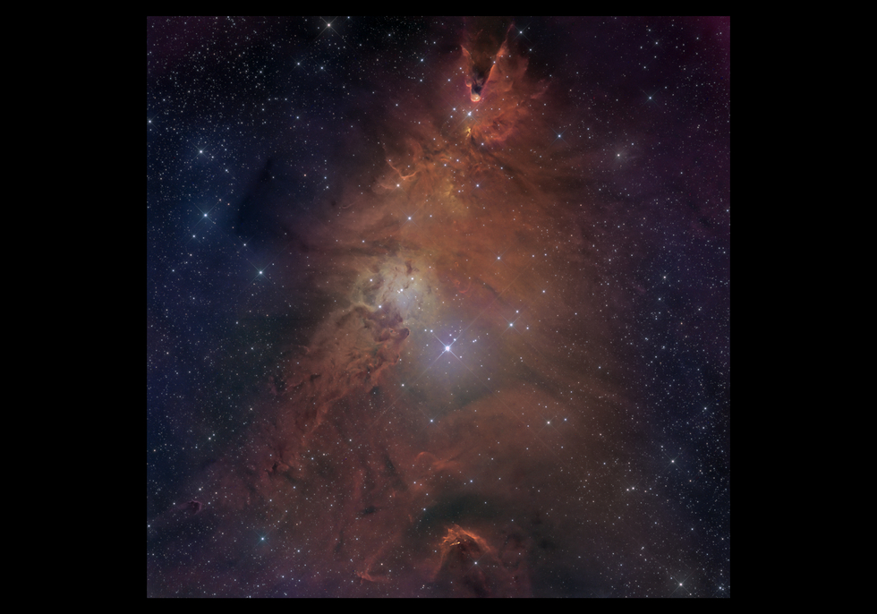 NGC2264