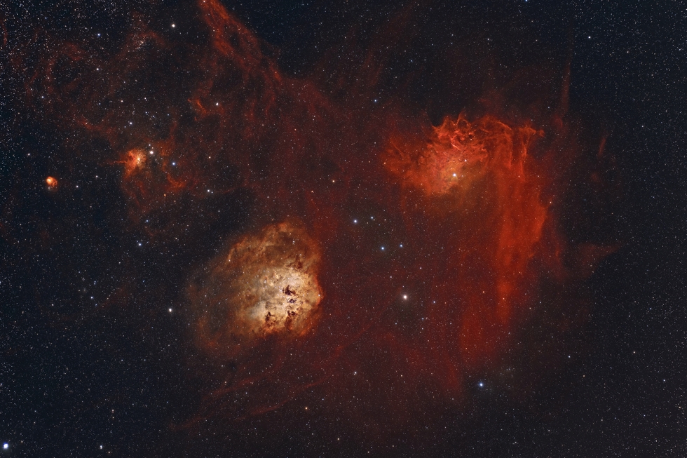 Auriga (HOO tri-color blend)