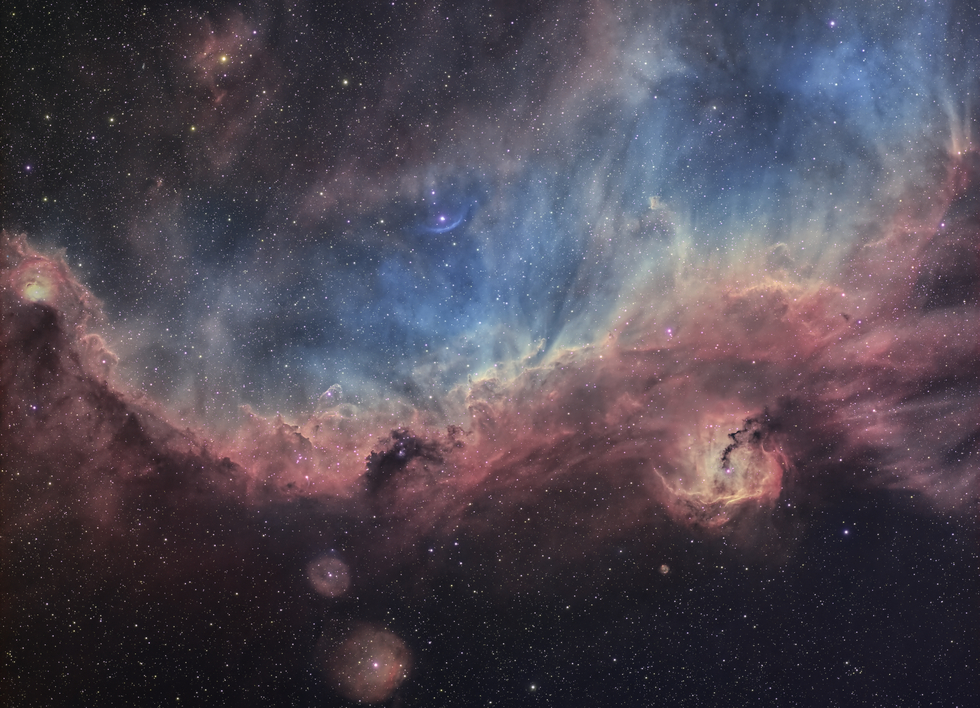 IC 2177 and Seagull Nebula