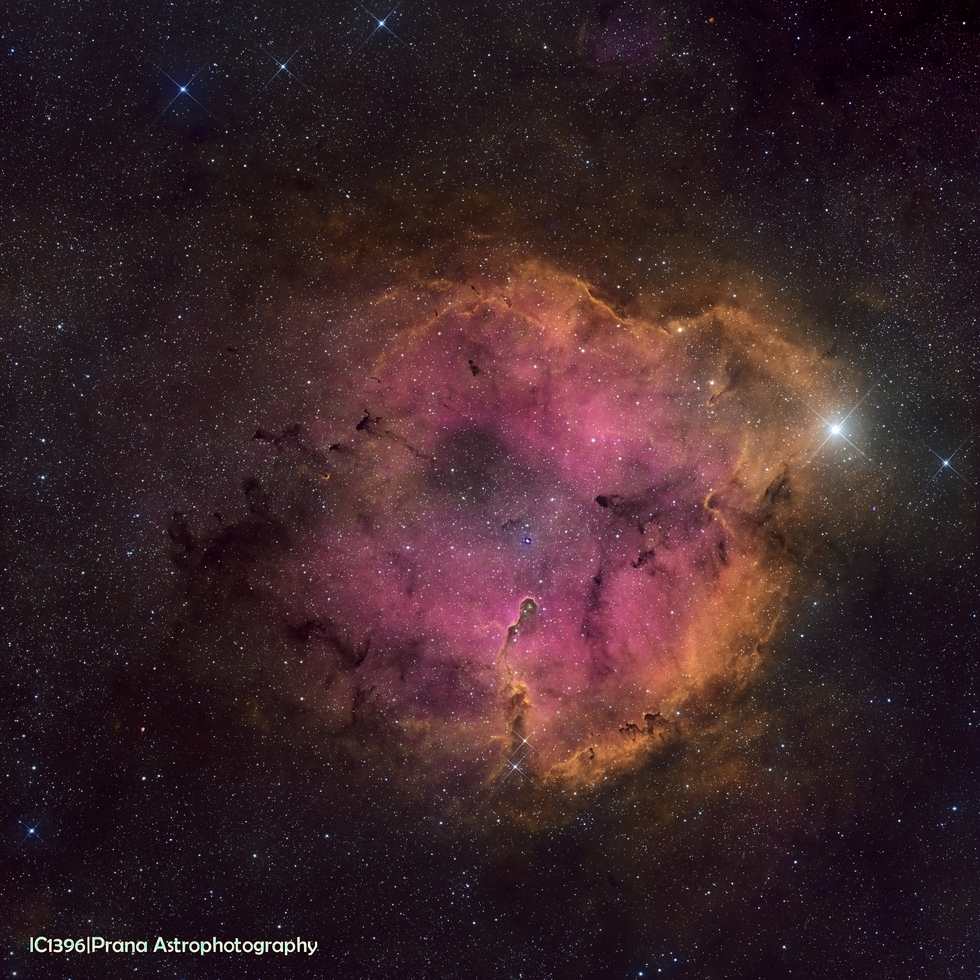 IC1396 (custom HSO blend)