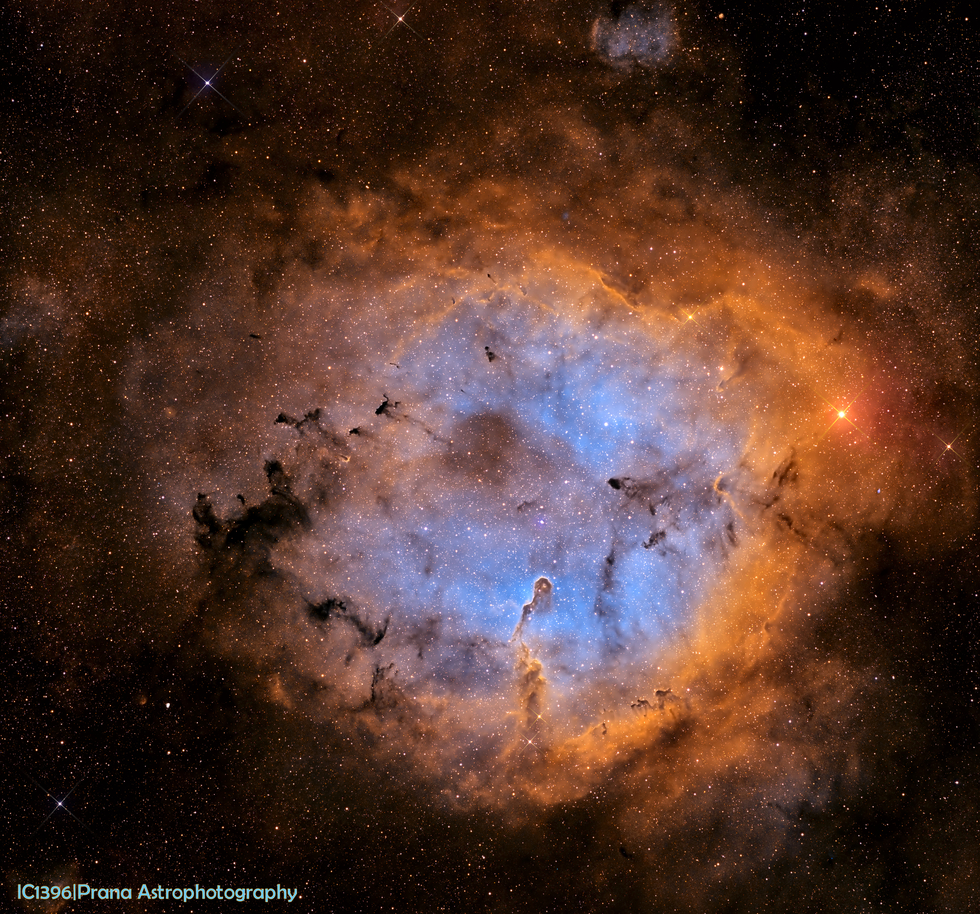IC1396 (SHO)