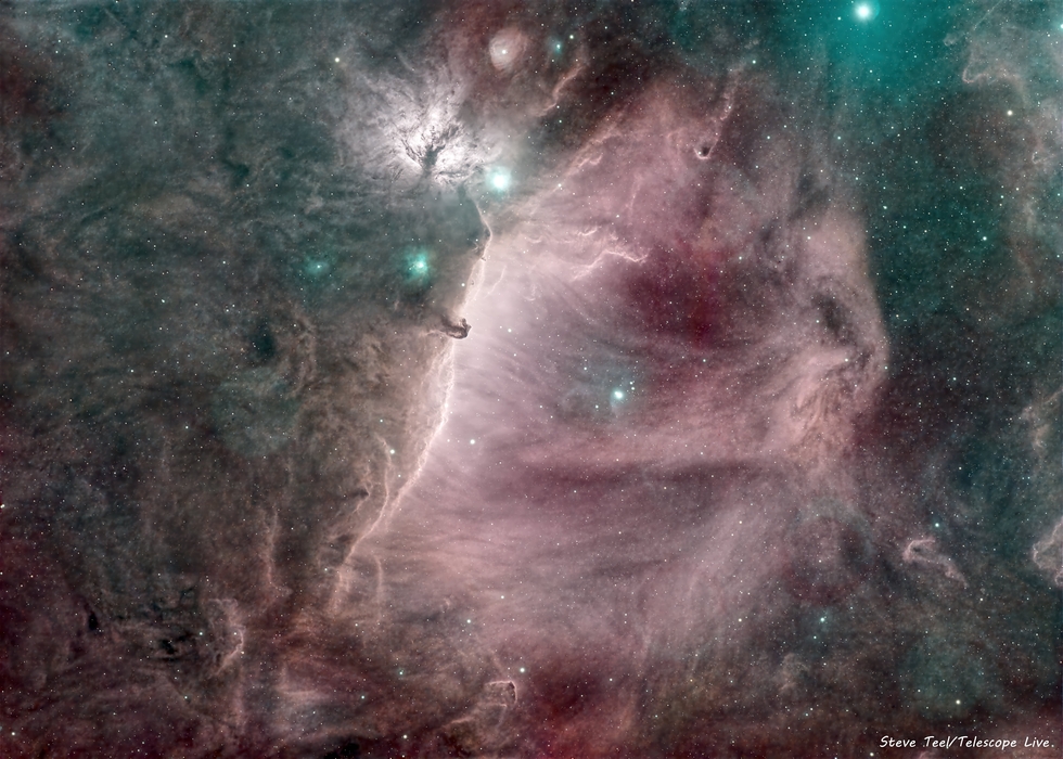 The Horsehead and the Flame Nebulae