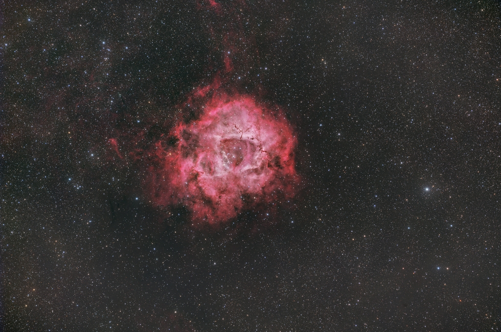 Rosette Nebula Widefield RGB