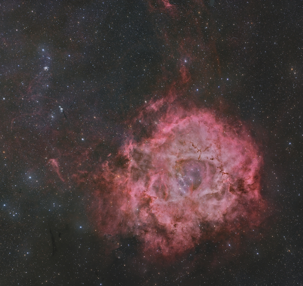 Rosette Nebula LRGB close crop