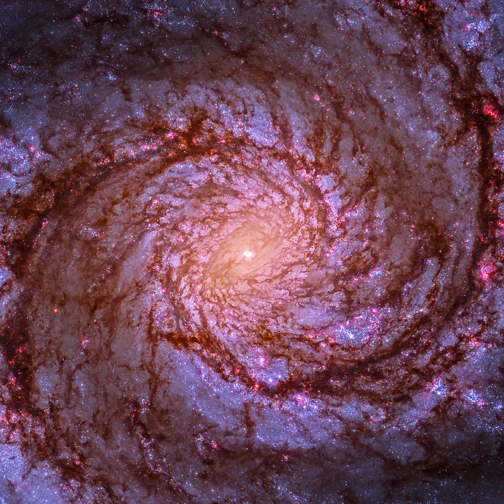 All the features of M51