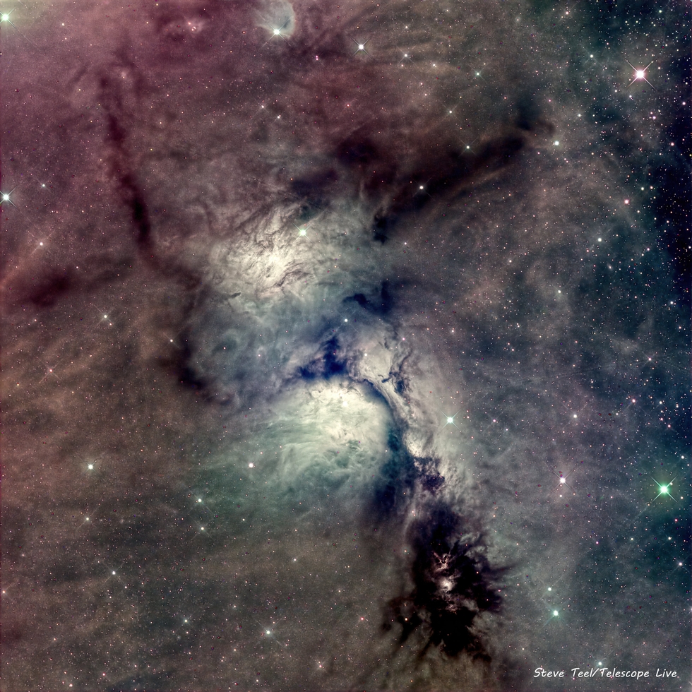 M78, NGC2064 and 2071