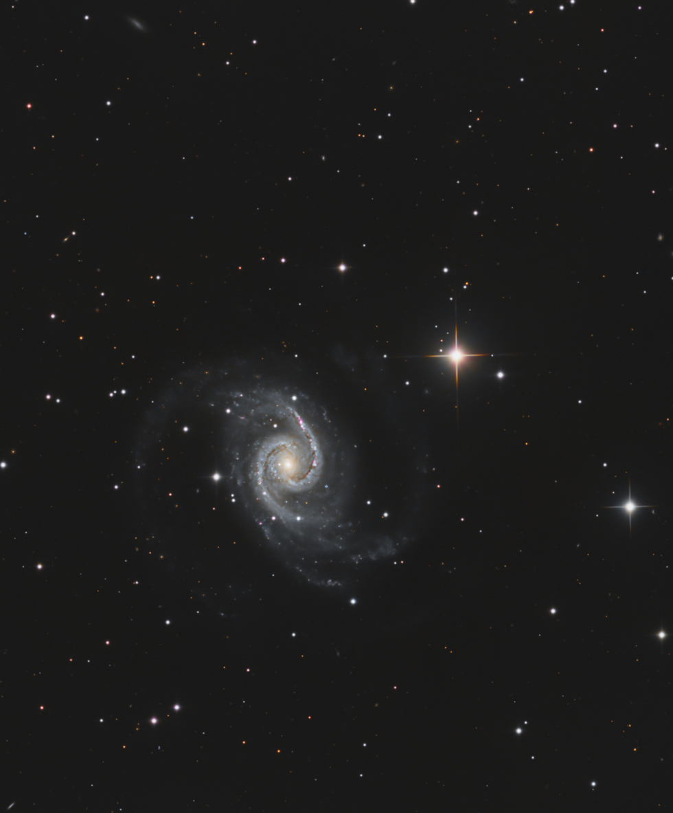 NGC 1566