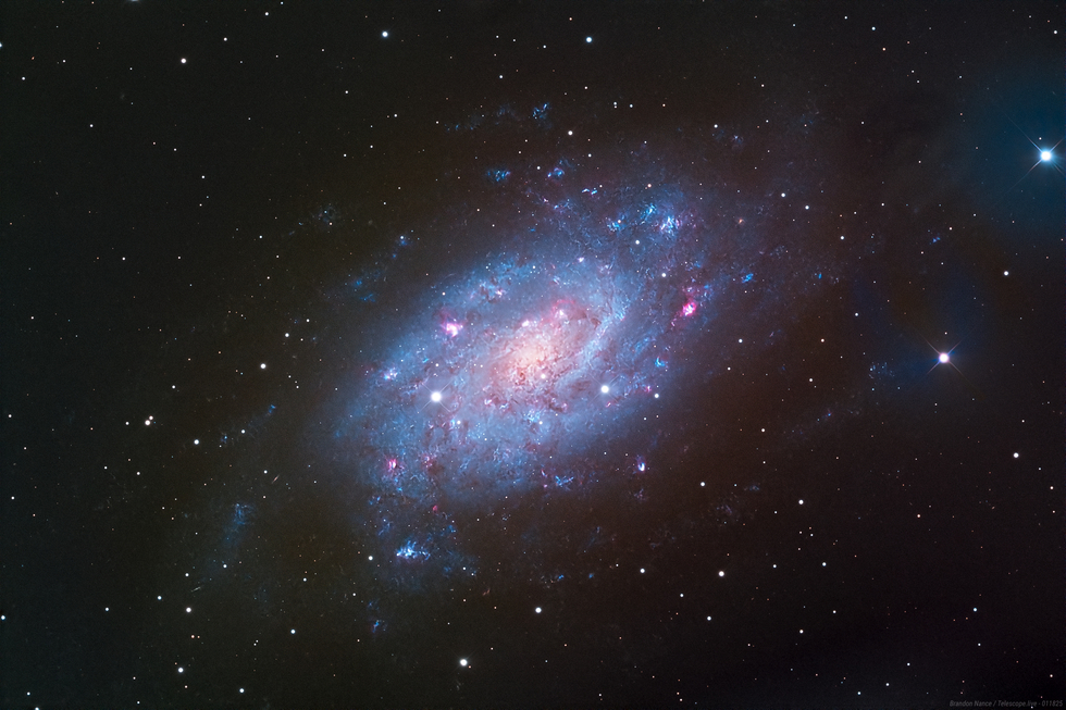 NGC 2403