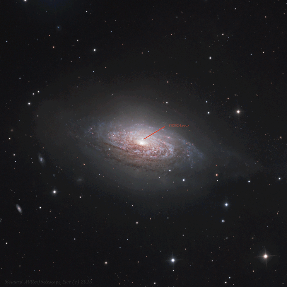 NGC 3521 w/SN2024aecx animated GIF