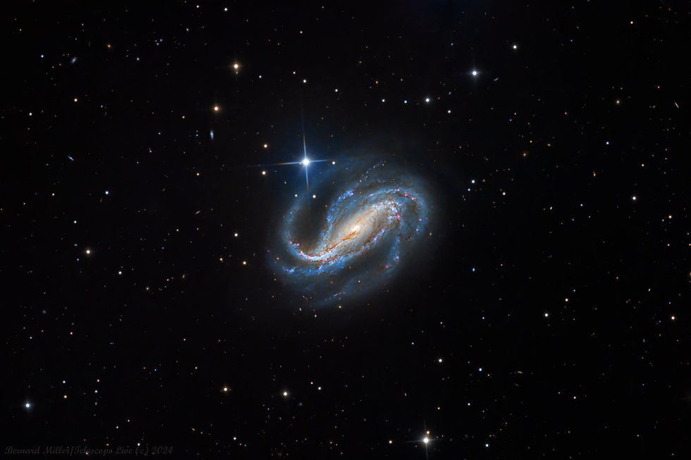 NGC 613