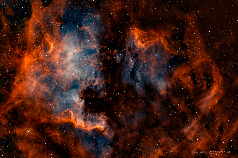 North American and Pelican Nebulae