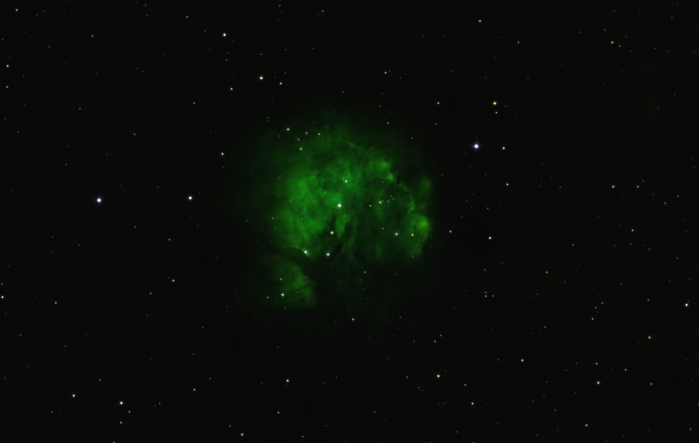 Cosmic Lettuce