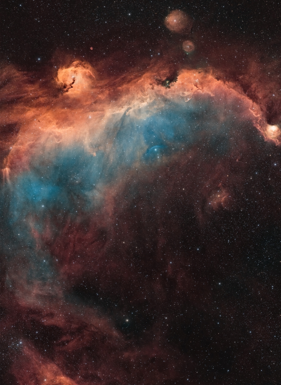 Seagull Nebula