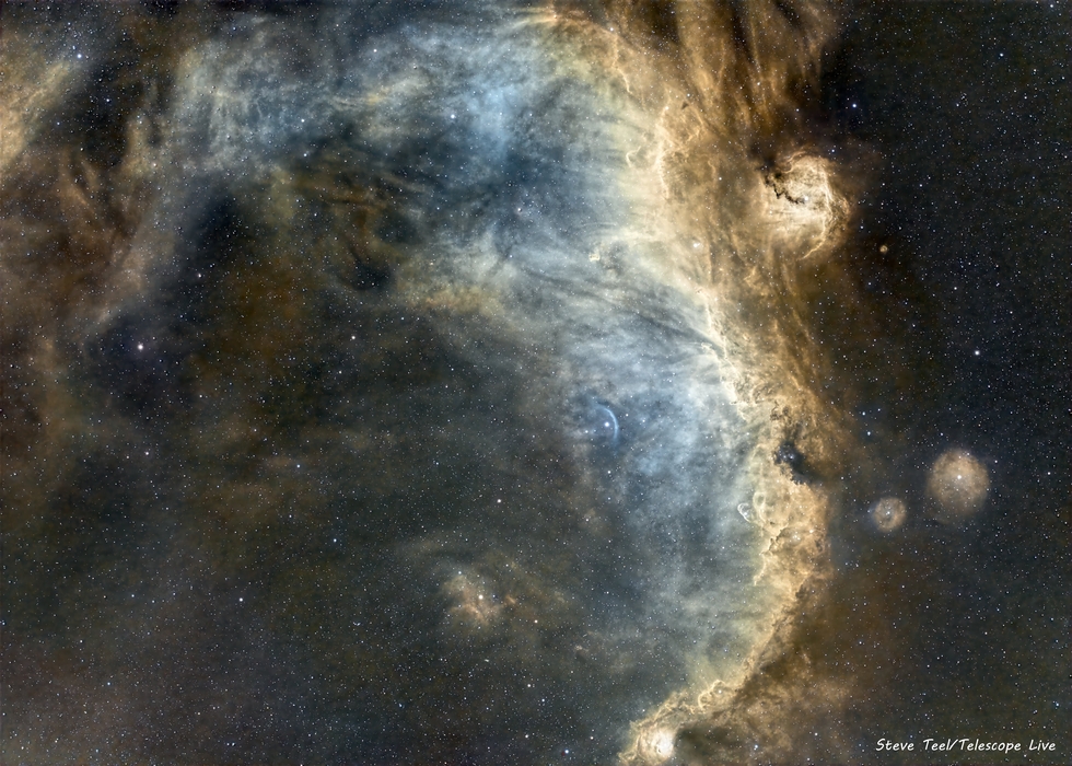 The Seagull Nebula