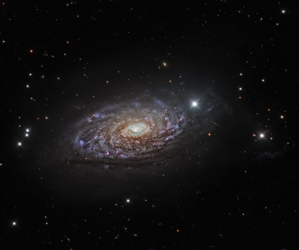 The Sunflower Galaxy