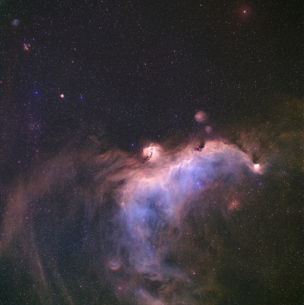 🕊️✨ The Seagull Nebula – A Cosmic Bird Soaring Through the Stars 🌌💫