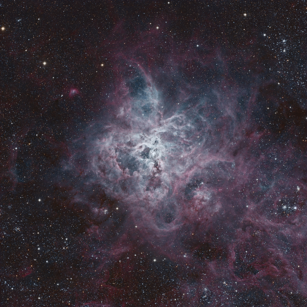 Tarantula Nebula