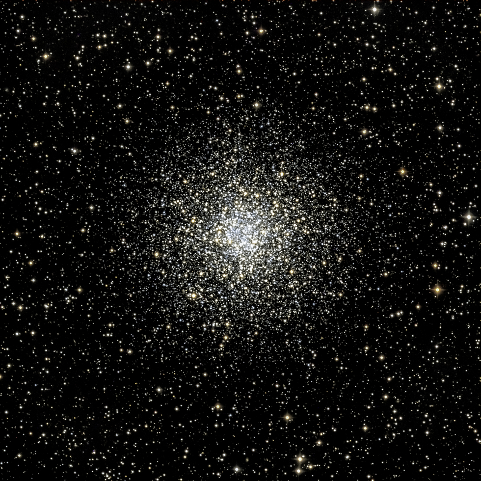 M55