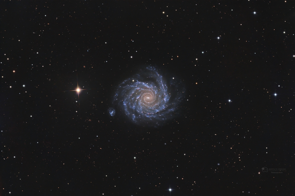 NGC 1232