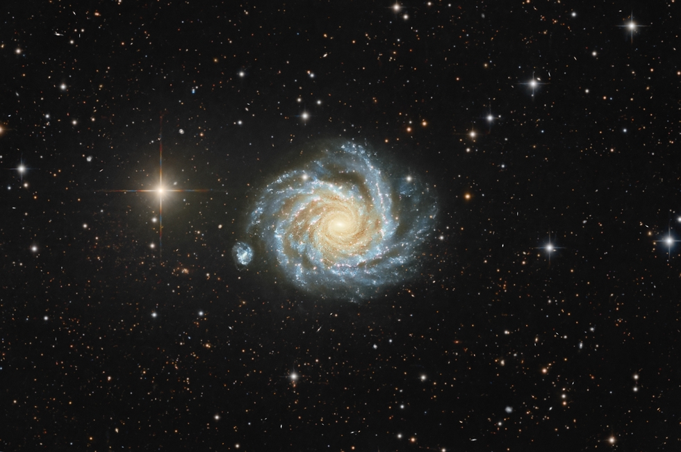 NGC 1232