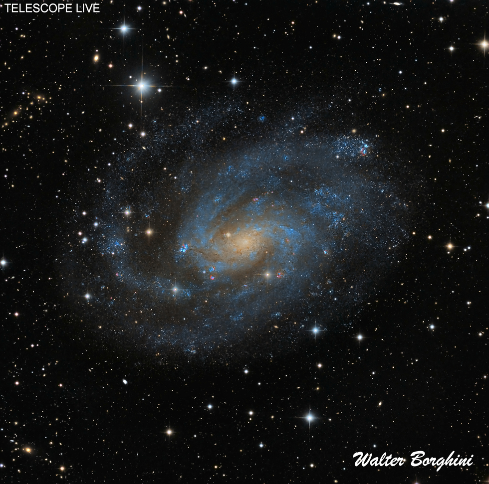 NGC 300