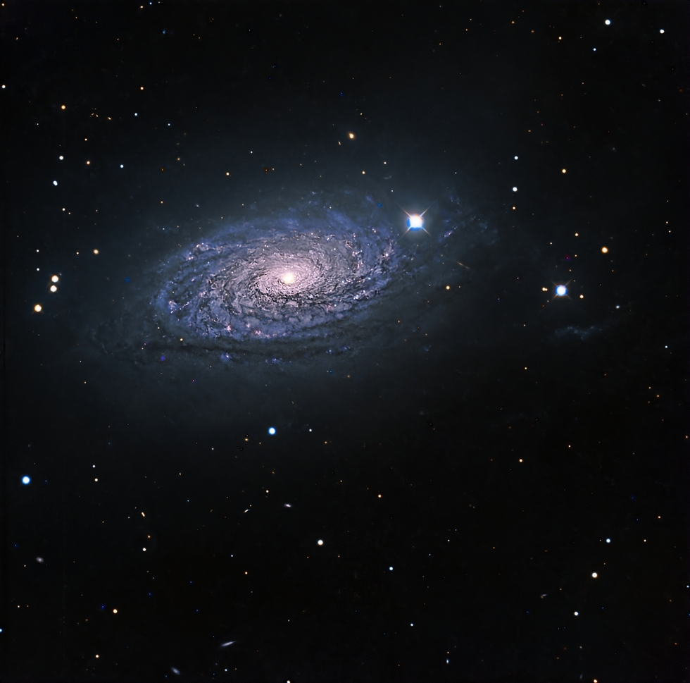 Sunflower Galaxy processed with Pixinsight Lockhart Suite