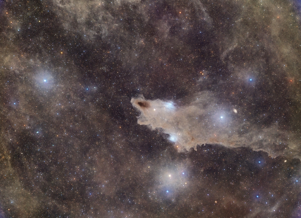 Dark Shark Nebula