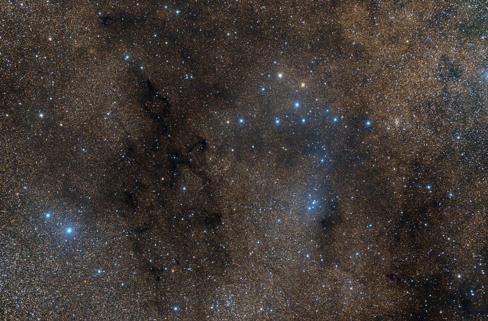 The Coathanger (Brocchi's Cluster)