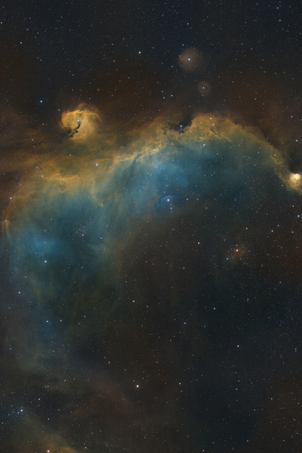 Sh2 296 / IC 2177 / Seagull Nebula