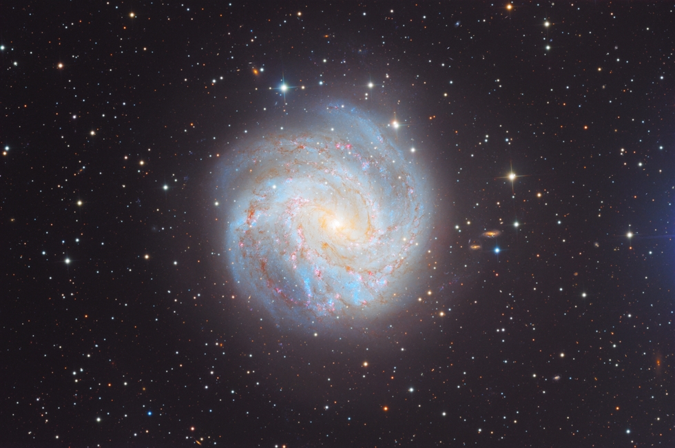 M83 (Southern Pinwheel Galaxy, NGC 5236) | Telescope Live