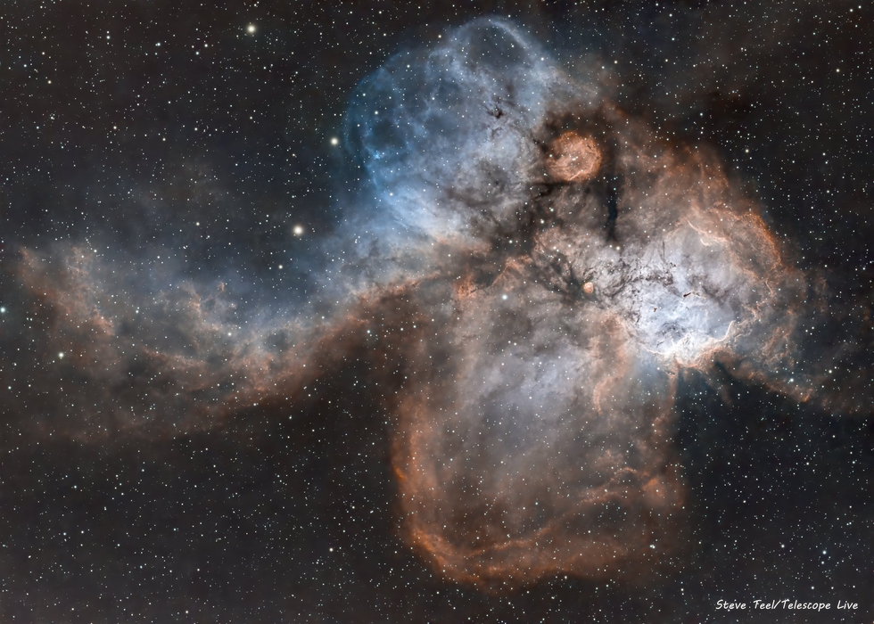 The Skull and Crossbones Nebula 