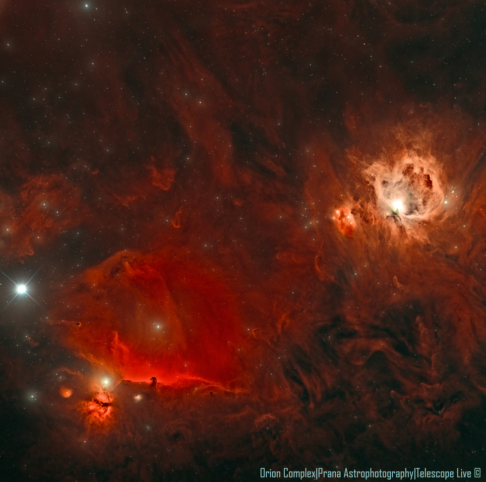 Orion Complex (HOO Tricolor blend)