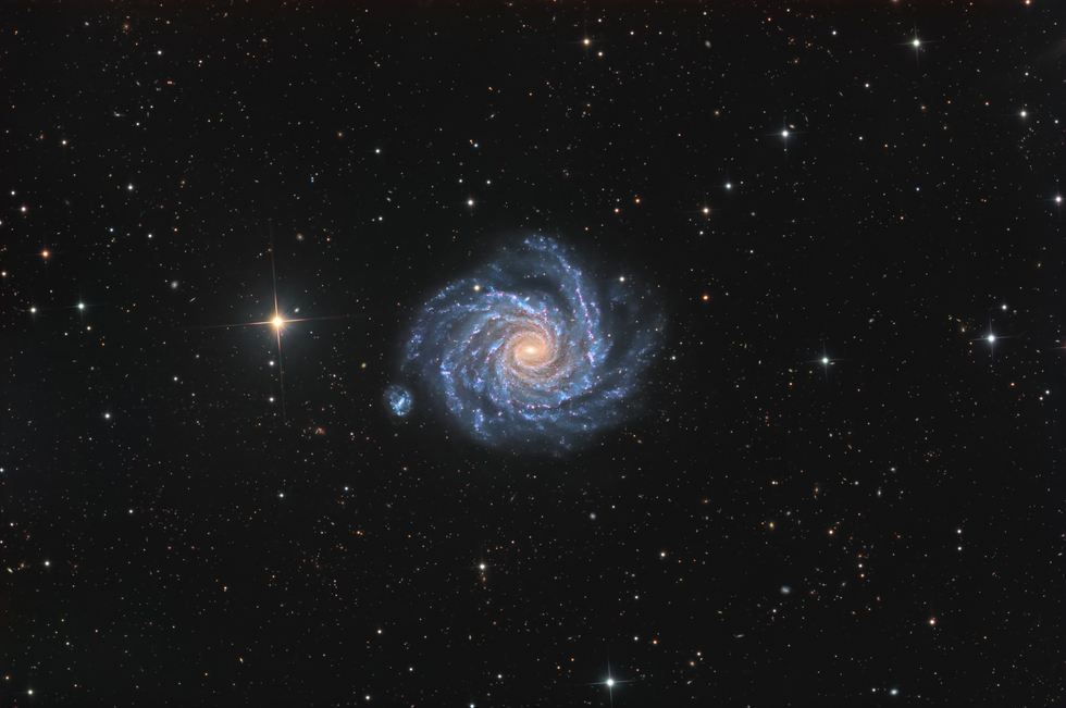 NGC 1232