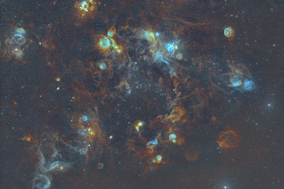 NGC 2004 and surrounding nebulae