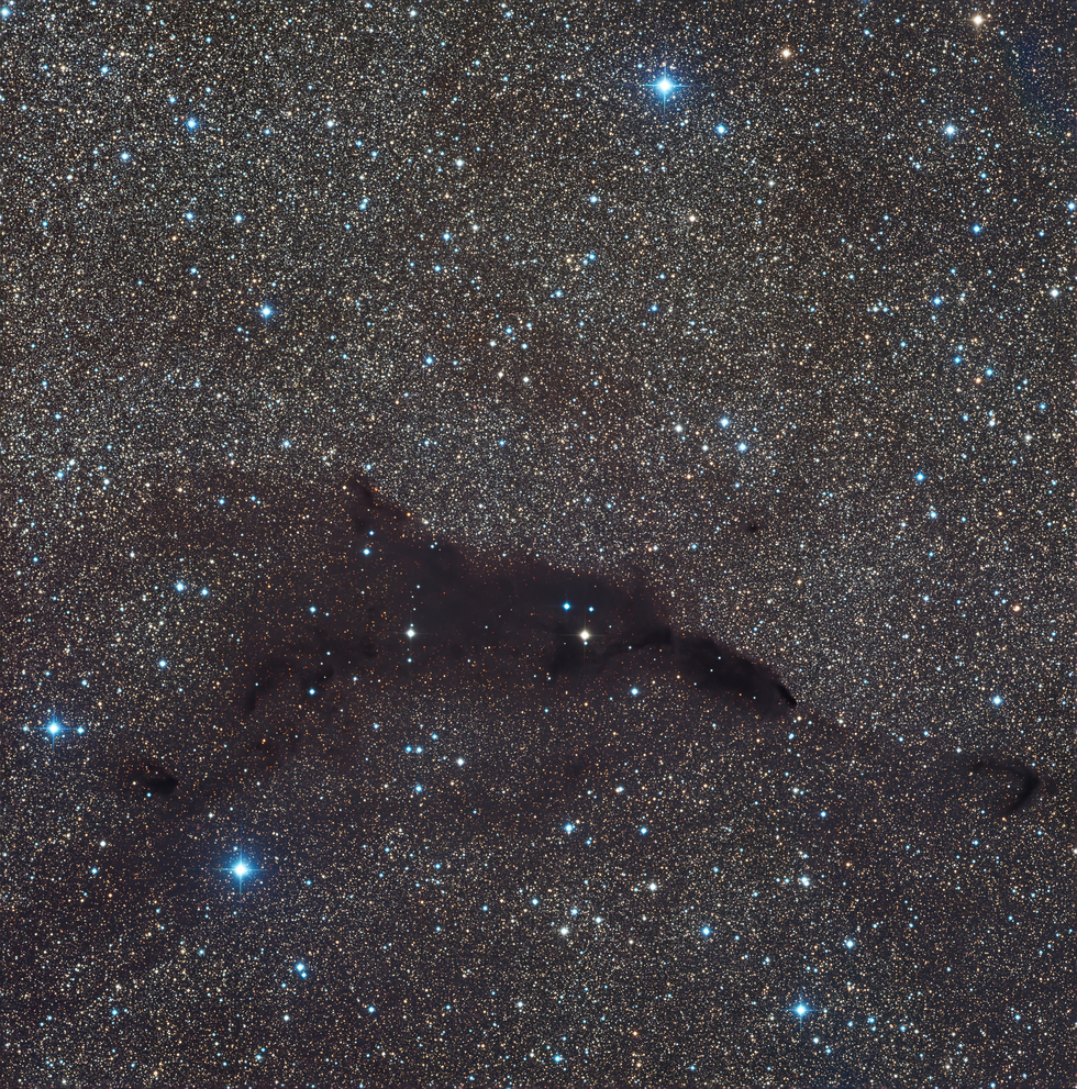 Barnard 252 – The Cosmic Seahorse in the Dark