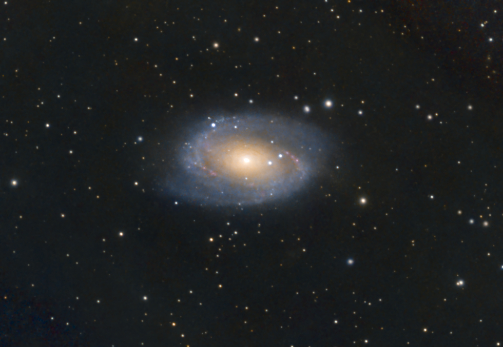 m81