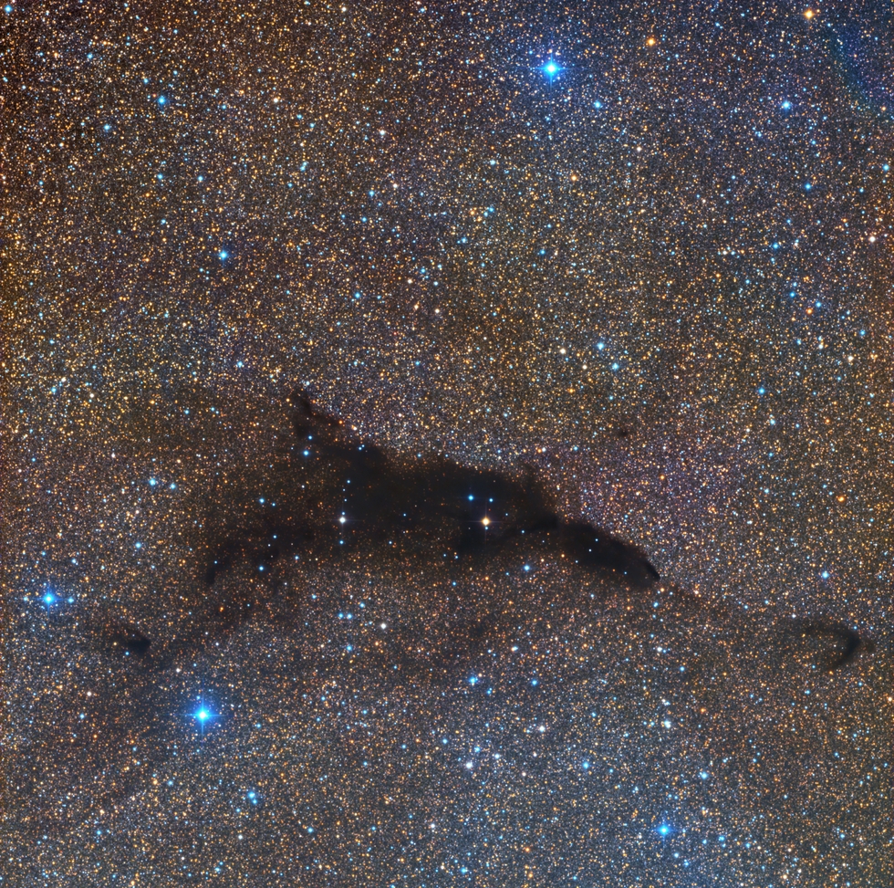 Swimming Dolphin in an Ocean of Stars