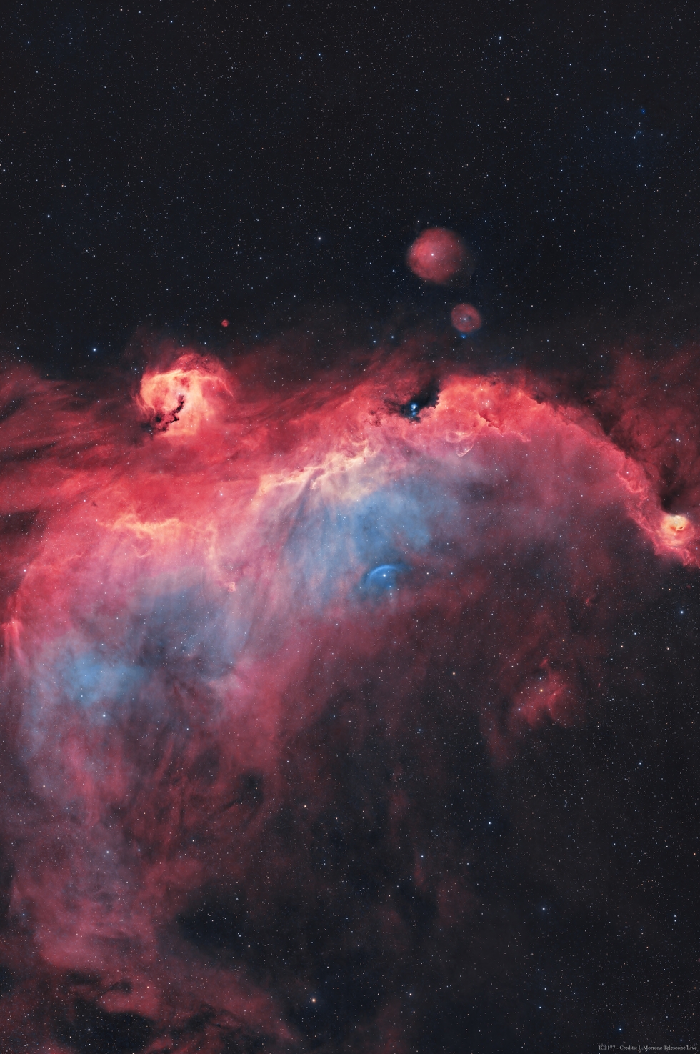 IC2177 Segull Nebula 