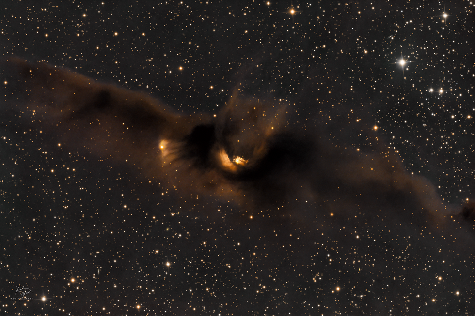 Wings of Dust: The Cosmic Bat – LDN 43