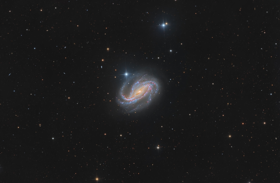 NGC 613