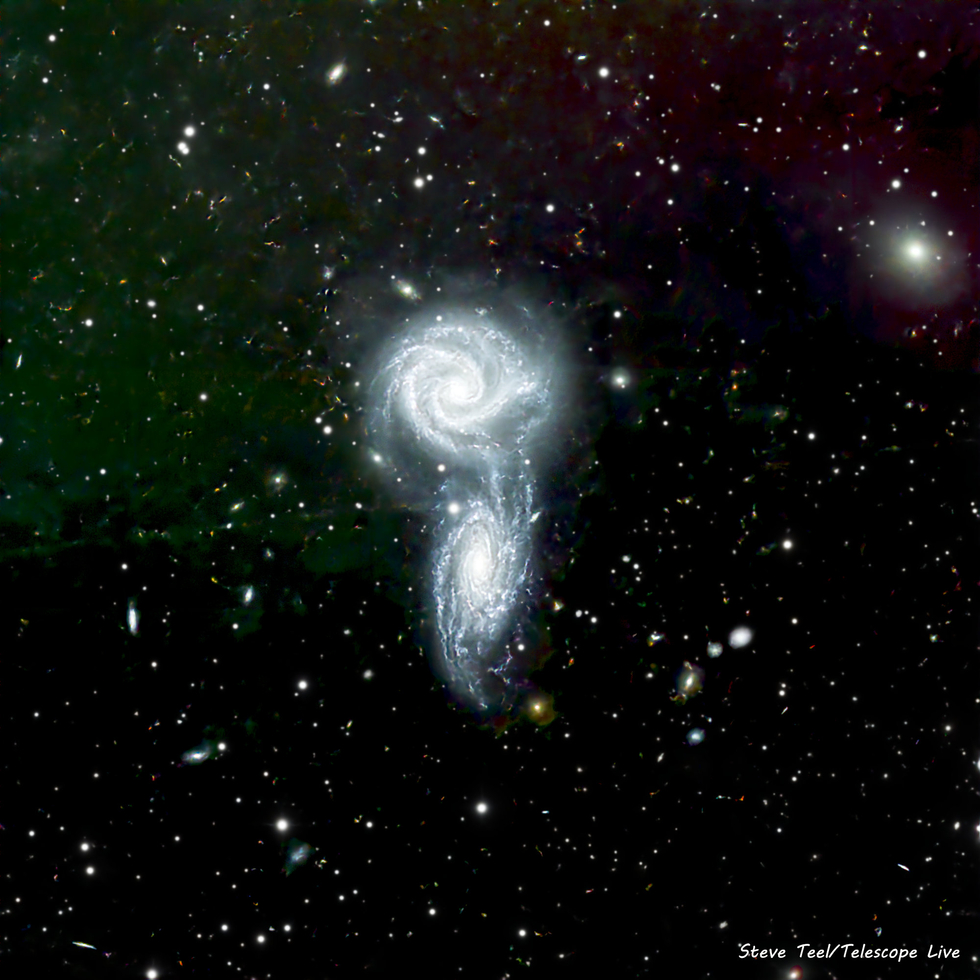 ARP271