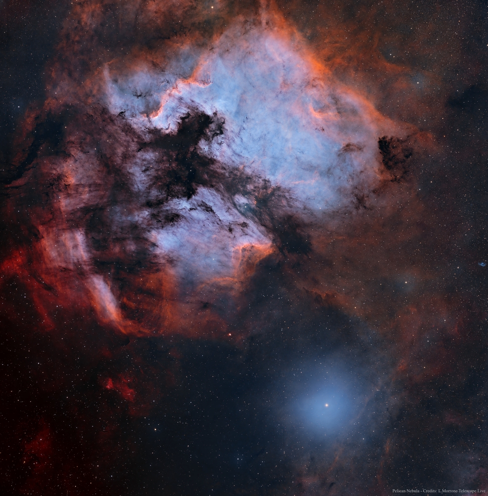 Pelican Nebula 