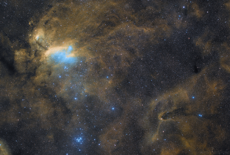 Prawn Nebula