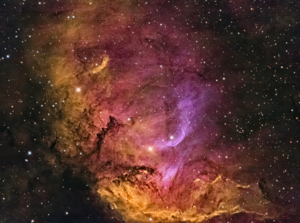 Tulip Nebula